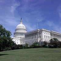 Joan Brown Photo 23 Joan Brown Photo 23