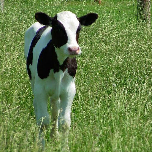 Ruth Rhodes Photo 35