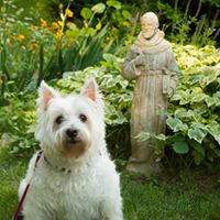 Deborah Mcmillen Photo 12