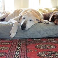 Christine Douglass Photo 7