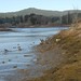 Allison Mclane Photo 8
