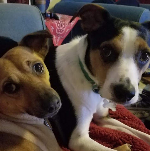 Thomas Mcgrath Photo 21 Thomas Mcgrath Photo 21