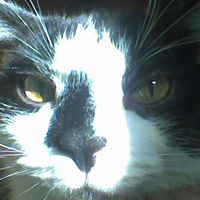 Janet Fyfe Photo 5