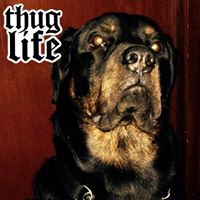 Ronald Hooper Photo 16