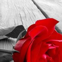 Catherine Reese Photo 8