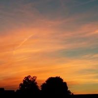 Stephanie Shirey Photo 17