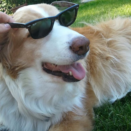 Bobby Jewell Photo 2