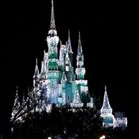 Jennifer Knauer Photo 13