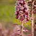 Kenneth Summers Photo 38