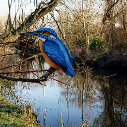 Jenny Kelly Photo 24