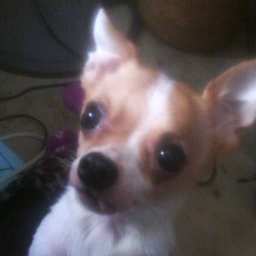 Debbie Joyner Photo 1