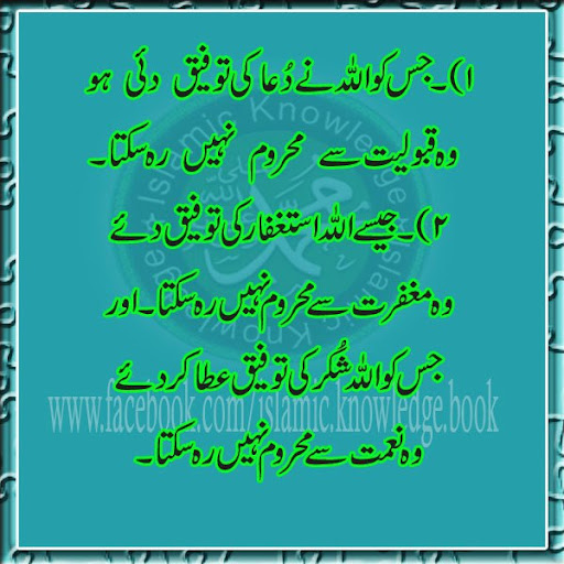 Nabila Ahmed Photo 10