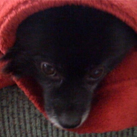 Anne Christensen Photo 21 Anne Christensen Photo 21