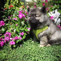 Sheila Hahn Photo 27