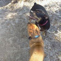 Jerry Barnes Photo 26