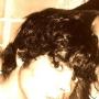 John Cunha Photo 10