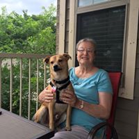 Gail Larson Photo 30