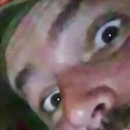 Mike Lynch Photo 42 Mike Lynch Photo 42