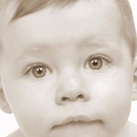 Michael Royle Photo 16