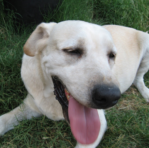 Daniela Rosales Photo 5