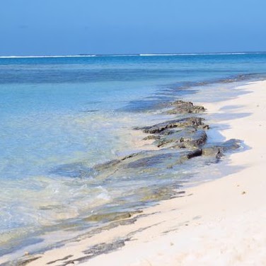 Steven Cole Photo 56