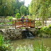 Robin Hill Photo 25