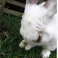 Shirley Kuo Photo 13