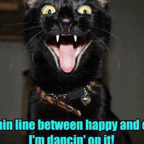 Randy Schultz Photo 27 Randy Schultz Photo 27