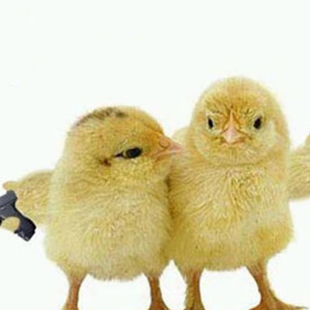 Meaghan Taylor Photo 7