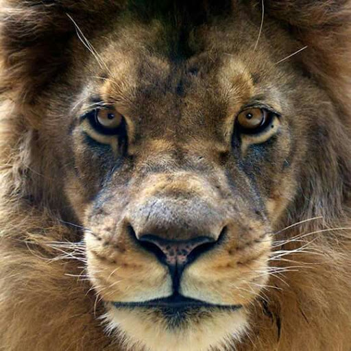 Christine Mckeon Photo 20