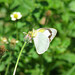 Katherine Wing Photo 18
