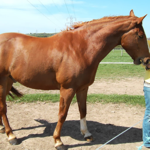 Mary Phelan Photo 10 Mary Phelan Photo 10