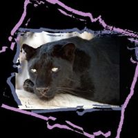 Cassandra Parham Photo 9