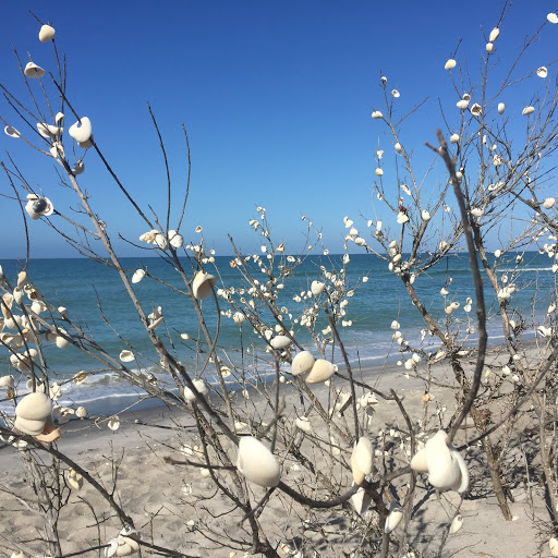 Donna Barron Photo 35