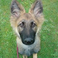 Charlie Shepard Photo 10