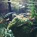 Joyce Moss Photo 6