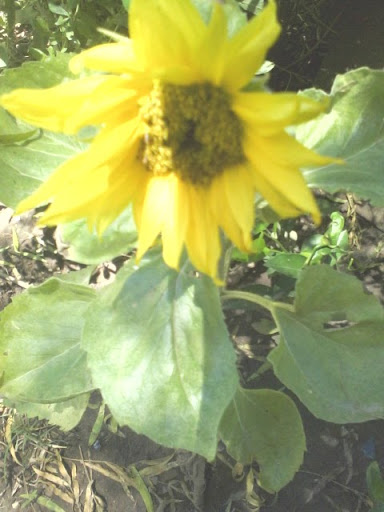Maria Avalos Photo 5