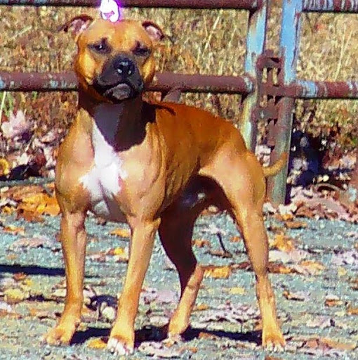 Eric Shumaker Photo 27