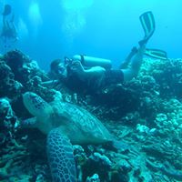 Peter Mckenna Photo 19