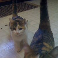 Dorothy George Photo 14