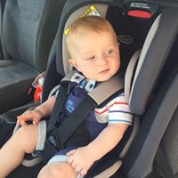 Stephen Tate Photo 34 Stephen Tate Photo 34