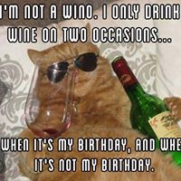 Jonathan Watkins Photo 47