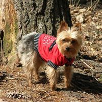 Marilyn Wester Photo 12