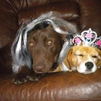 Cindi Davidson Photo 13