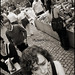Toni Reale Photo 8