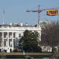 Michael Finn Photo 41 Michael Finn Photo 41