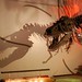Sue Gray Photo 10