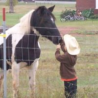 Pat Brooks Photo 32 Pat Brooks Photo 32