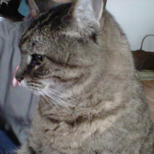 Carrie Miller Photo 5