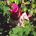 Amy Berry Photo 10